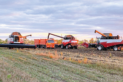  От совхоза к холдингу: как добиваются богатого урожая и высоких надоев