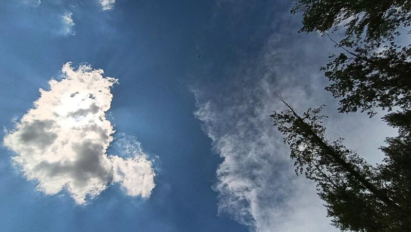 Жителей Самарской области 4 августа ждут жаркие грозы