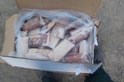 Утиные истории: самарские таможенники предотвратили ввоз 12 тонн нелегального продукта из Китая