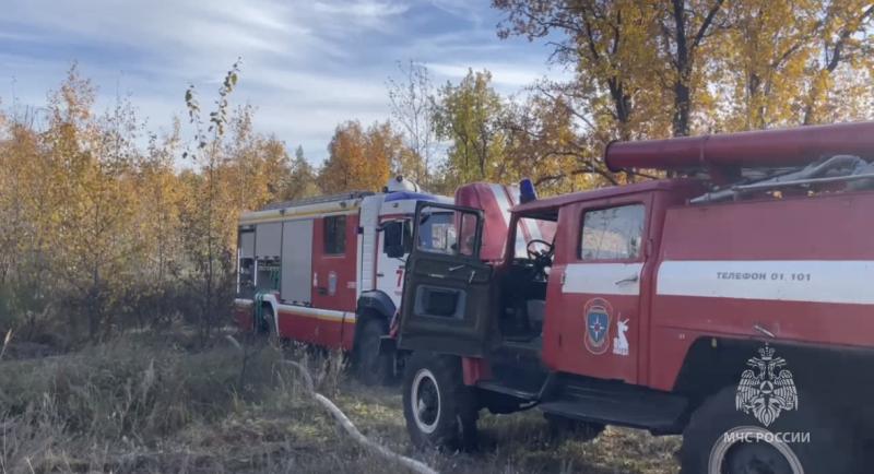 В Тольятти 10 октября вспыхнул лес