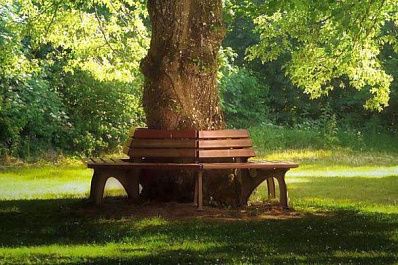 В Похвистневе подготовили окончательный вариант проекта "Парк ветра" 