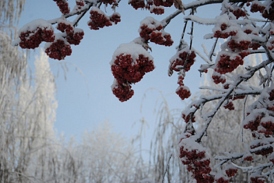 Резкое потепление придет в Самарскую область