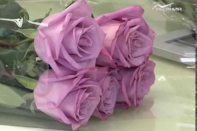 В Самаре подвели итоги конкурса на лучший урок по безопасному использованию бытового газа