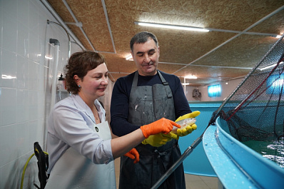 В Красноярском районе появится комплекс из гостевых домиков на экоферме