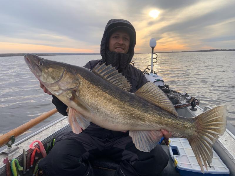 Царь-судак по-самарски: в Безенчукском районе рыбак выловил 7-килограммовую рыбину