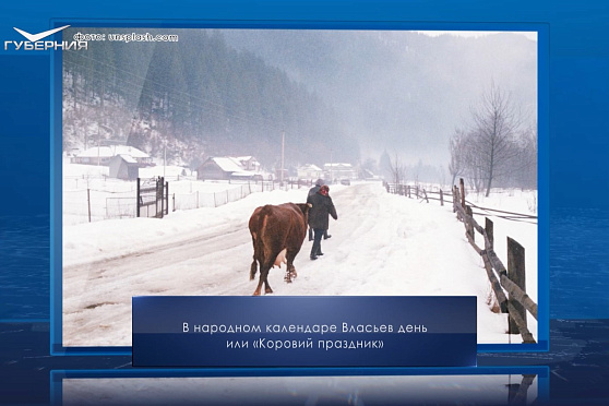 Власьев день. Календарь Губернии от 24 февраля