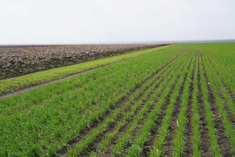 Народные приметы на 7 мая 2025 года: что нельзя делать в этот день