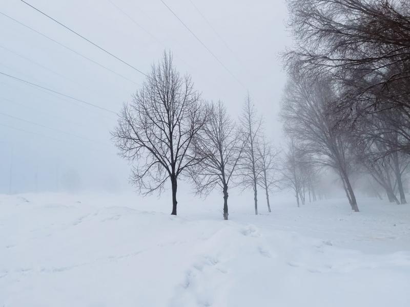 Туманное утро: в Самарской области 24 февраля ожидается до -3 градусов