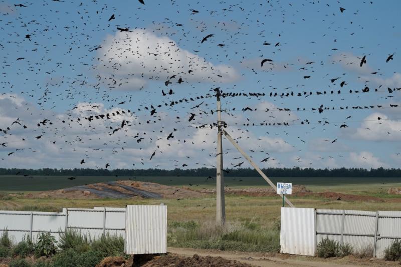 Народные приметы на 20 ноября 2025 года: что нельзя делать в этот день