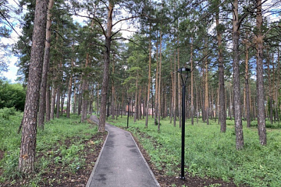 В Усть-Кинельском начнется новый этап благоустройства "Соснового бора" 