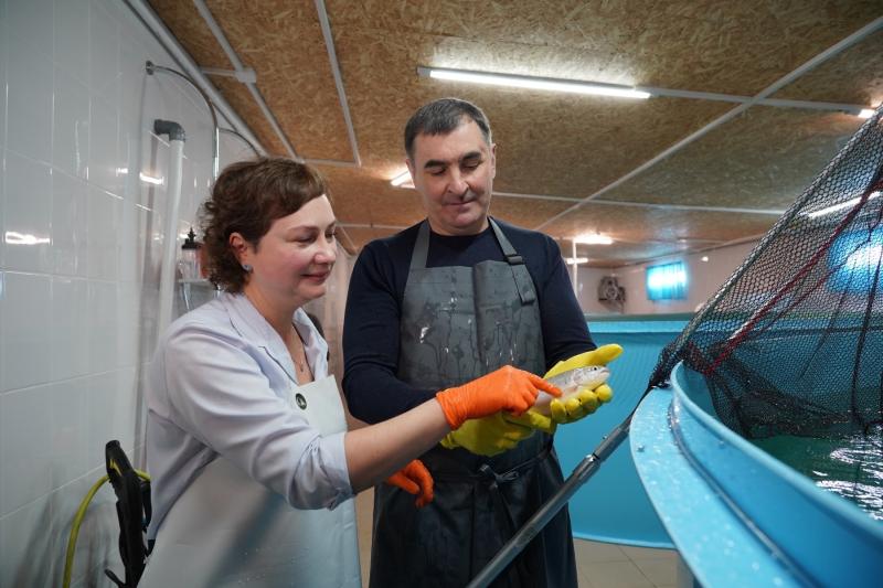 В Красноярском районе появится комплекс из гостевых домиков на экоферме