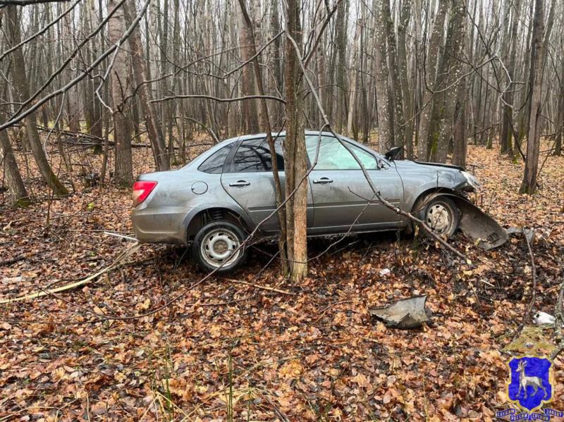 Утром 1 ноября LADA Granta сбила лося в Самарской области