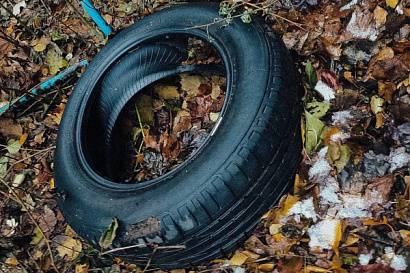 Название статьи