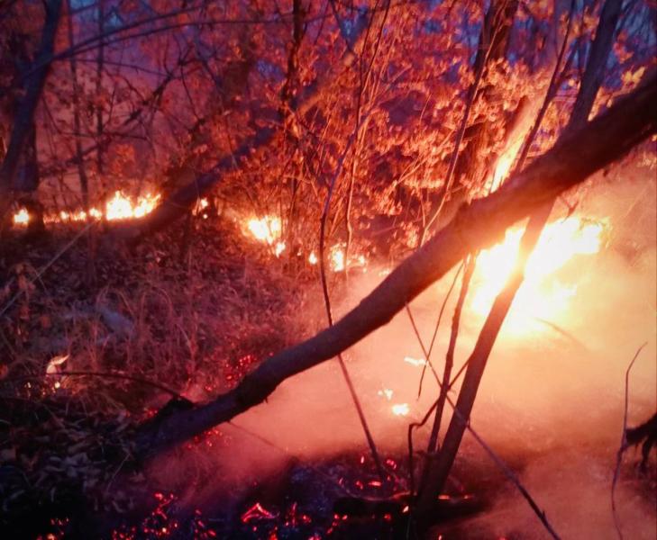 В Безенчукском районе сгорело 1000 "квадратов" травяного покрова