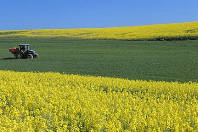В Самарской области ребенок погиб под косилкой