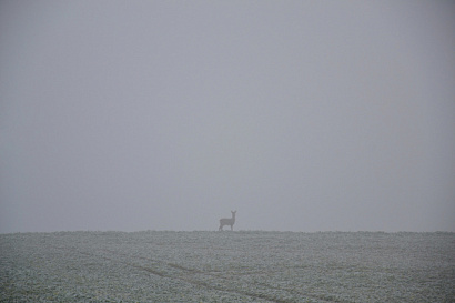 Название статьи