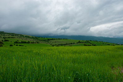 Шесть ветеранов СВО получили земельные участки в Самарской области