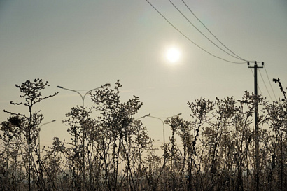 Название статьи