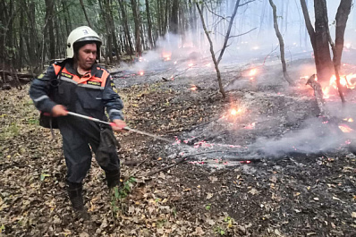 "Сил и средств достаточно": в нацпарке "Бузулукский бор" продолжается тушение пожара