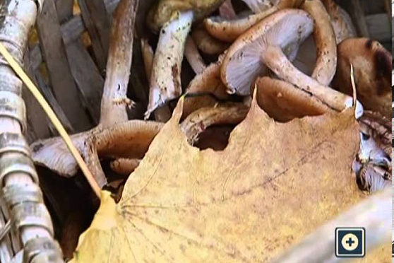 Азбука потребителя 15.10.2013 