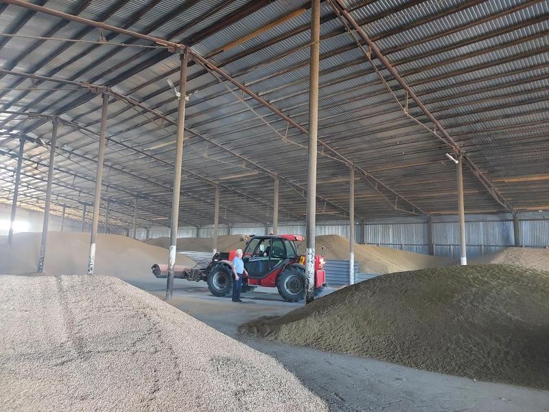 Комплексный подход: предприятие из Кошкинского района добивается результатов в животноводстве и растениеводстве