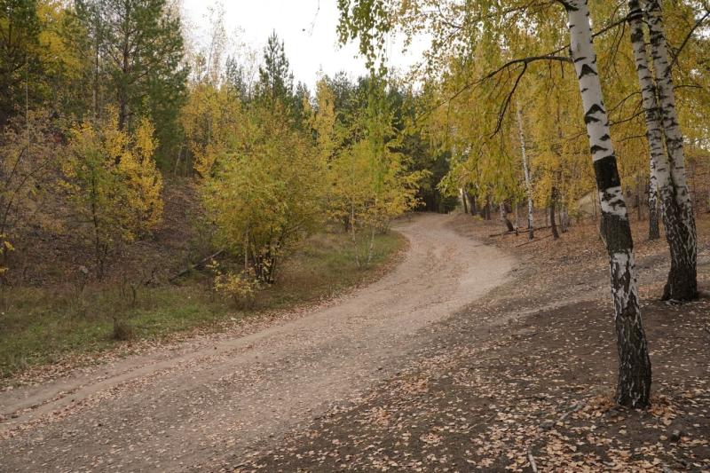 Сохранение памятников природы обсудили в Самарской области