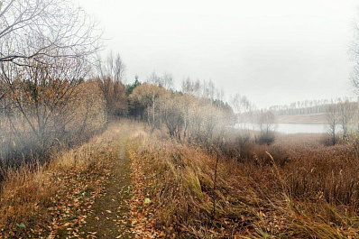 В Самарской области 2 декабря будет пасмурно и туманно