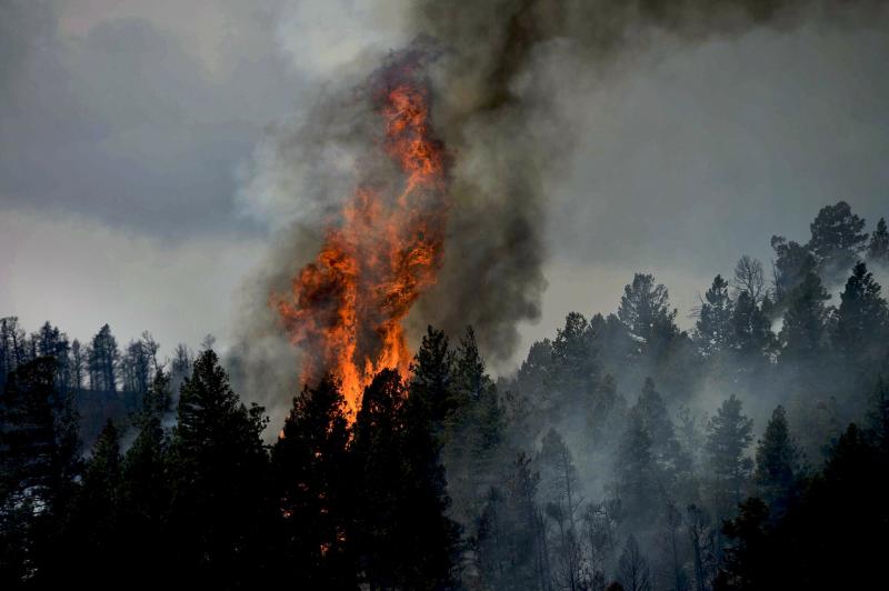 Самарская область вошла в число регионов с высоким риском лесных пожаров в июне 2021 года