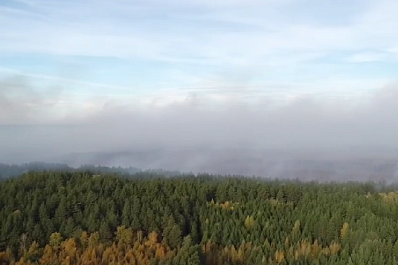 Вячеслав Федорищев обратился к жителям Самарской области в связи с крупным пожаром в Сызранском районе