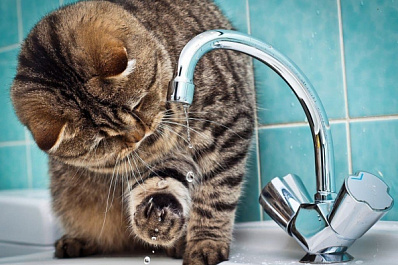 На пяти улицах в Самаре отключили холодную воду из-за утечек