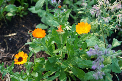 Название статьи