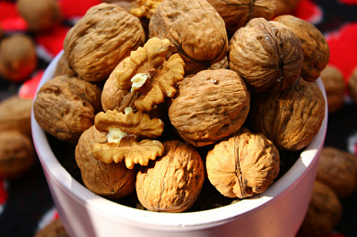 Невролог Евдокимов рассказал, какие продукты улучшают работу мозга