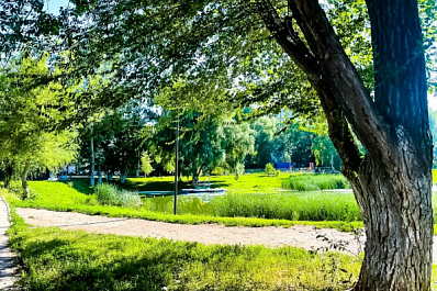 В Самарской области 11 августа будет солнечно и знойно