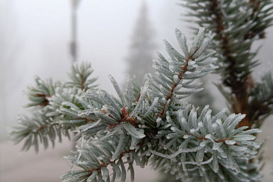 Туман и изморозь: в Самарской области продлили желтый уровень опасности