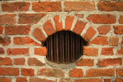 В Самаре в замурованном подвале второй день находятся кошки