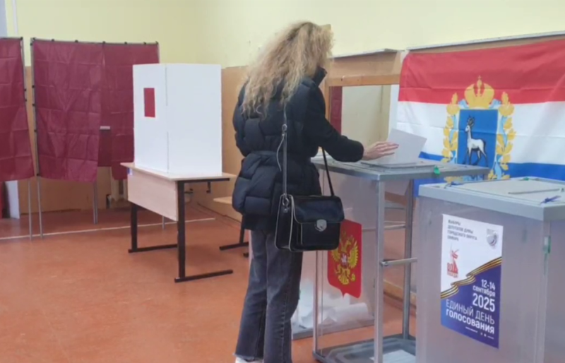 В Самарской области работу независимых общественных наблюдателей на выборах в ЕДГ-2025 упорядочил "золотой стандарт"