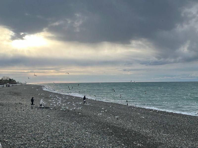 Психолог рассказал, как вернуться из отпуска отдохнувшим