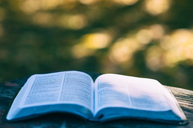 В Струковском саду пройдет большой книжный фестиваль