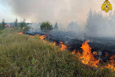 Жителям Самарской области запретили ходить в лес с 21 по 27 августа 2021 года