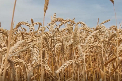 Аграрии Волжского района вступили в страду