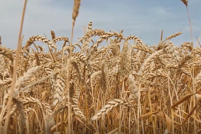 Название статьи