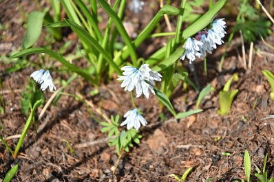 Народные приметы на 17 апреля 2025 года: что нельзя делать в этот день