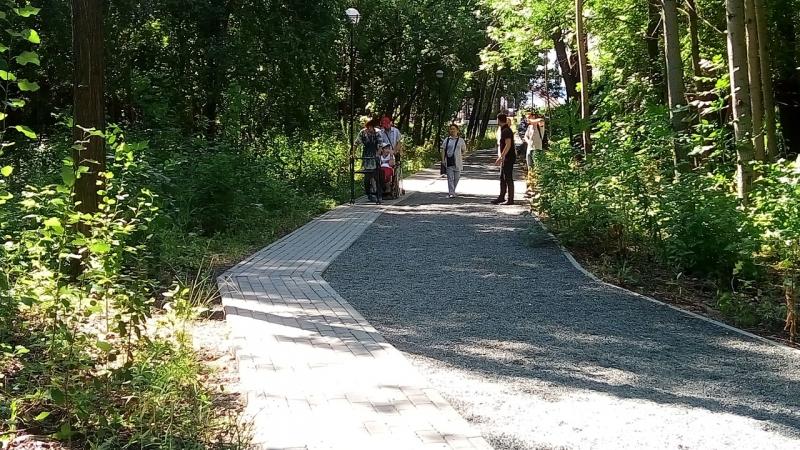 В Самаре проверили доступность городских территорий