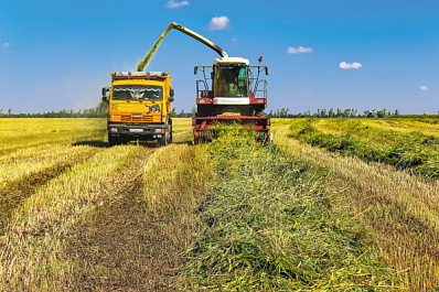 Земля кормит: как хозяйство из Самарской области развивает растениеводство и животноводство