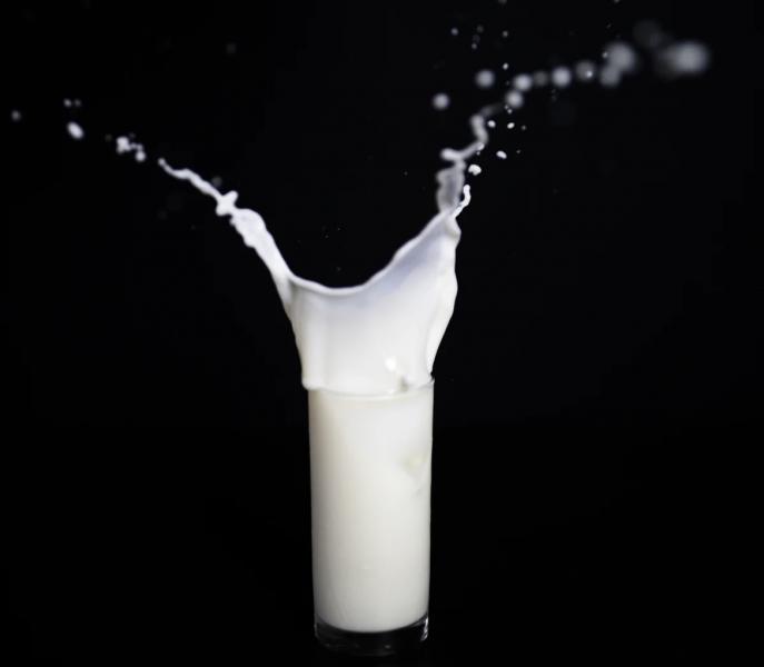 Россиянам рассказали, сколько раз в день полезно пить молоко
