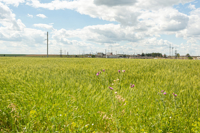 "Роснефть" рекультивирует 100 % земель "исторического наследия" к 2035 году