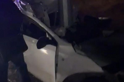 Под Самарой погиб водитель врезавшейся в столб иномарки Skoda Rapid