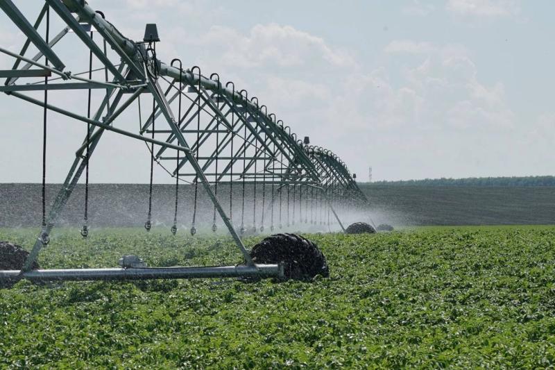 Самарская область активно развивает производство сои