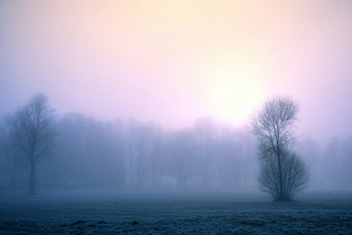 Самарская область утонет в тумане