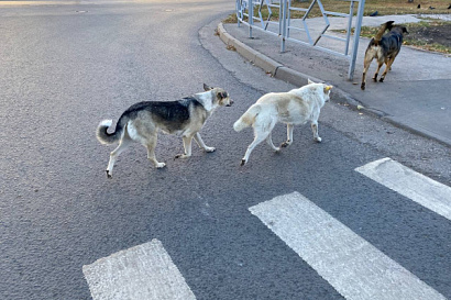 Название статьи